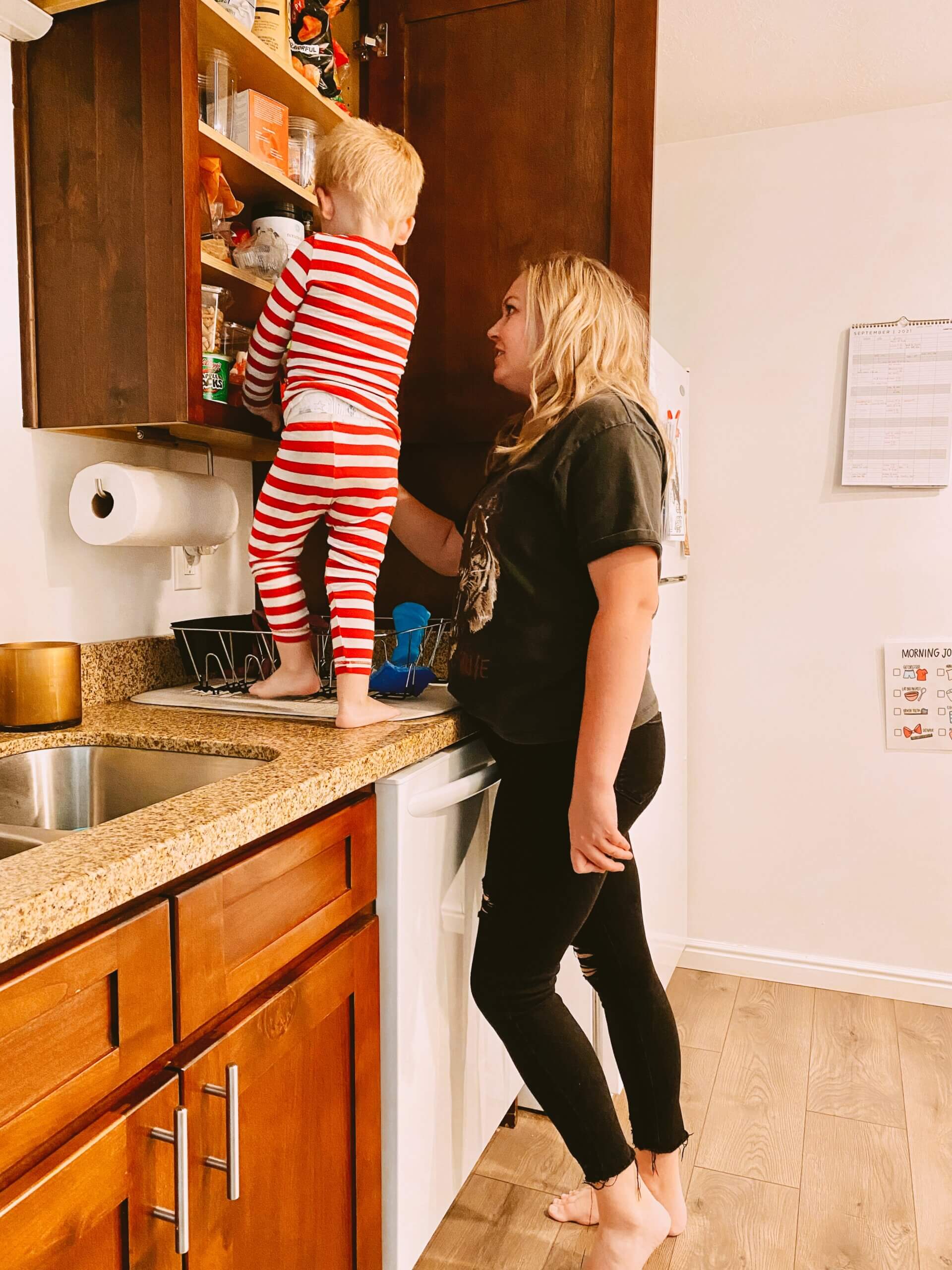 the robinson nest pantry update