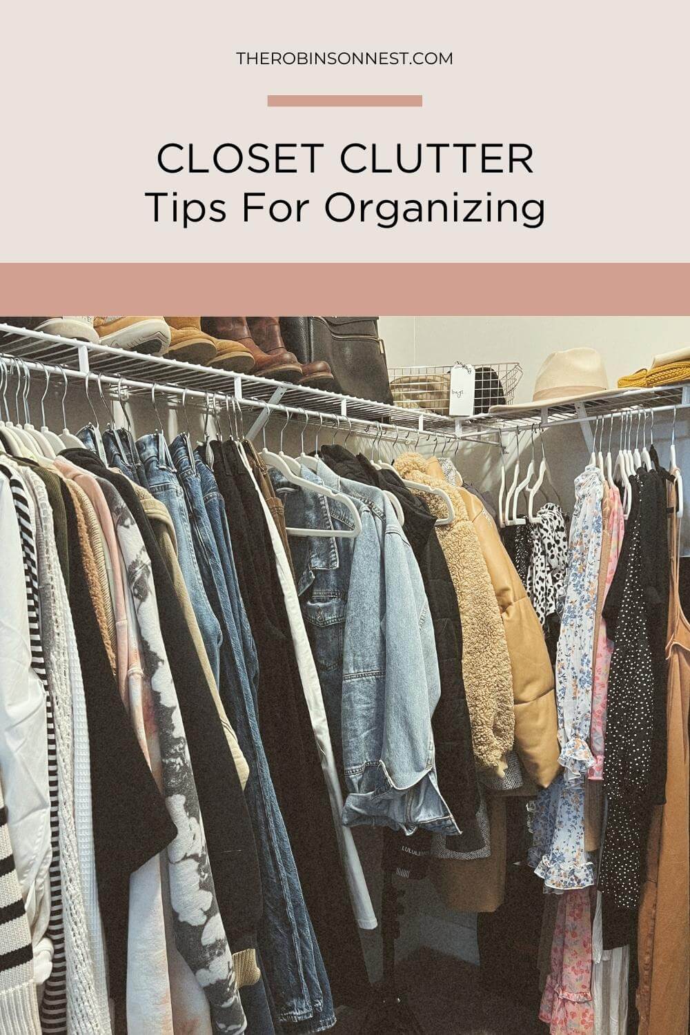 organization ideas